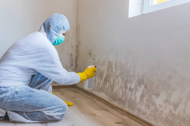Hvac And Air Duct Mold Remediation inspection of HVAC system in Rich Square